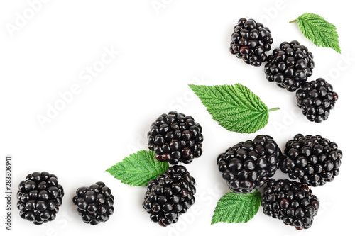 blackberry with leaf isolated on a white background. With copy space for your text. Top view. Flat lay photo