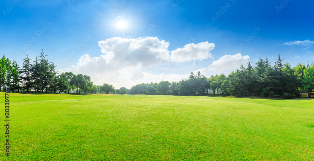 Green grass and blue sky with white clouds in summer season Green grass and blue sky with white clouds in summer season