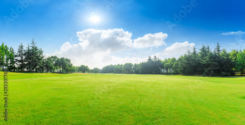 Fototapeta Naklejka Na Ścianę i Meble -  Green grass and blue sky with white clouds in summer season