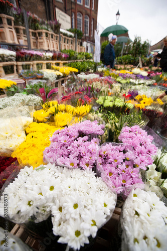 a lot of flower for sale in flower market in london