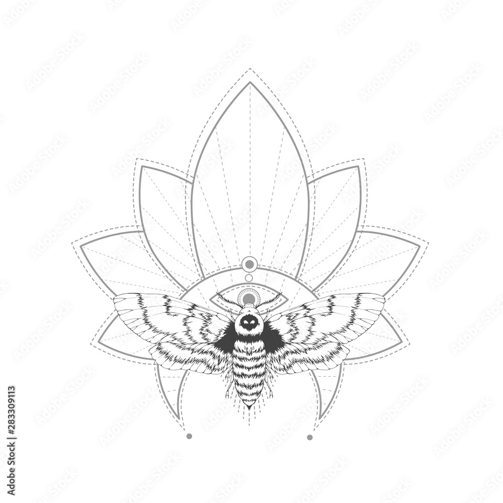 Vector illustration with hand drawn dead head moth and Sacred symbol on white background. Abstract mystic sign.