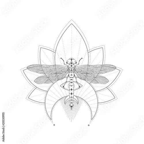 Vector illustration with hand drawn dragonfly and Sacred symbol on white background. Abstract mystic sign.