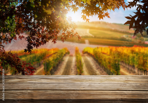 Fotografi Brown wood table in autumn vineyard landscape with empty copy space on the table for product display mockup