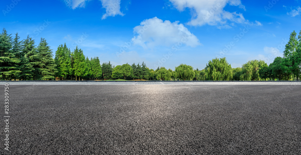 Country asphalt road and green woods nature landscape in summer - obrazy, fototapety, plakaty 