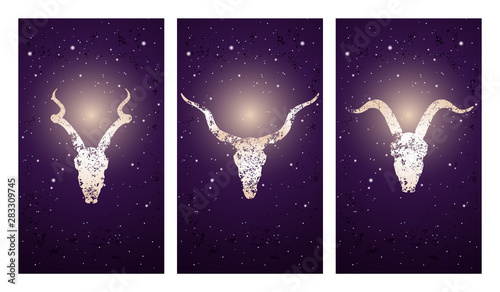 Vector set of three illustrations with silhouettes skulls antelopes and goat on purple starry sky background.