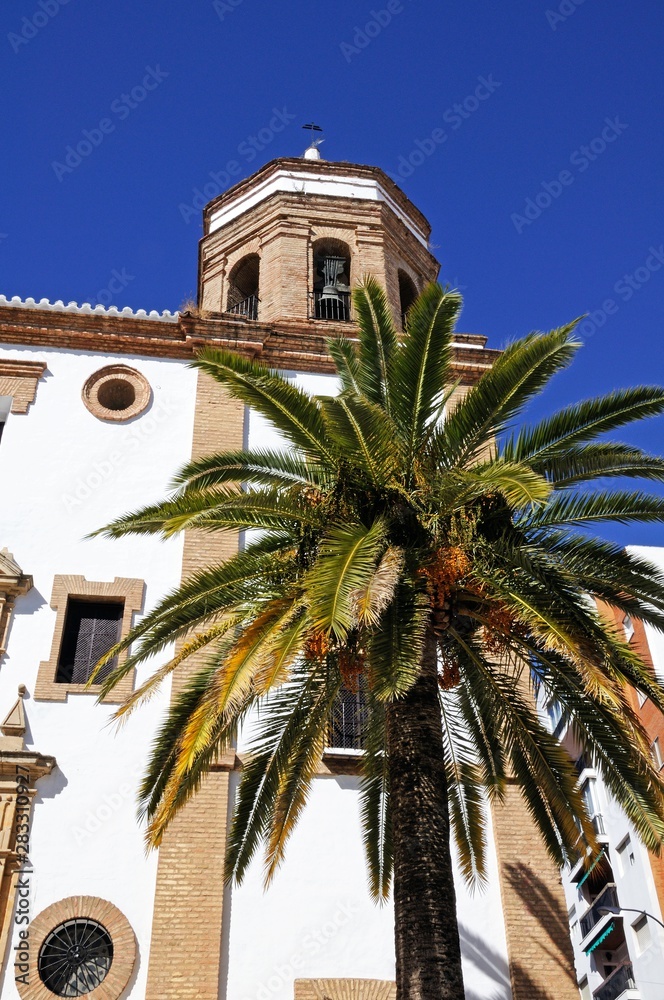 View of Merced Church with a palm tree in the foreground, Ronda, Andalusia, Spain.