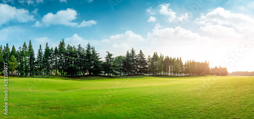 Green grass and blue sky with white clouds in summer season