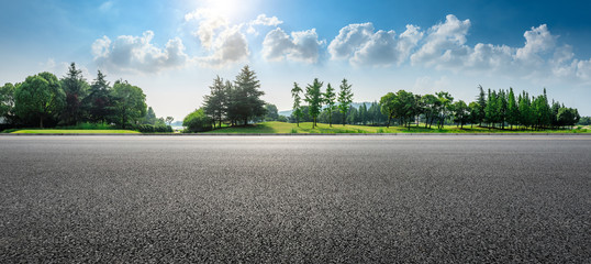 Country asphalt road and green woods nature landscape in summer