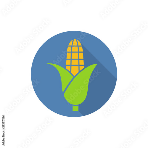 Corn yellow flat icon food natural illustration organic logo vector organic agriculture corning field corncob farm