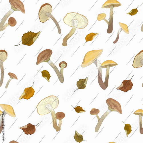 Seamless pattern with wild mushrooms mushrooms and autumn leaves.