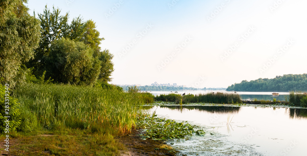 Naklejka premium A quiet view of the Dnieper river in Kiev, Ukraine, soon at dawn. Nuphar lutea waterlilies and typha latifolia reeds grow in the calm water. Fishermen in boats are catching fishes.