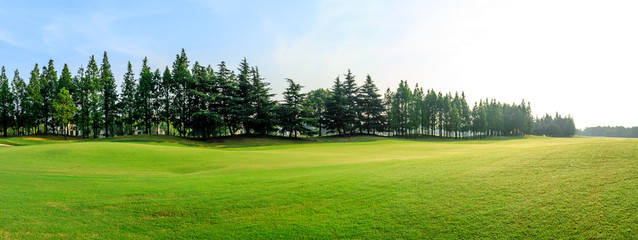 Green grass and blue sky with white clouds in summer season