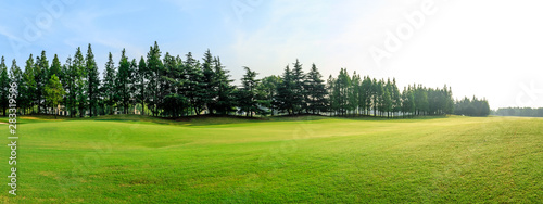 Green grass and blue sky with white clouds in summer season