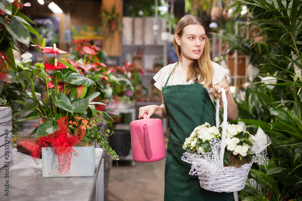 Woman florist working in floral shop; watering flowers from a plastic watering can
