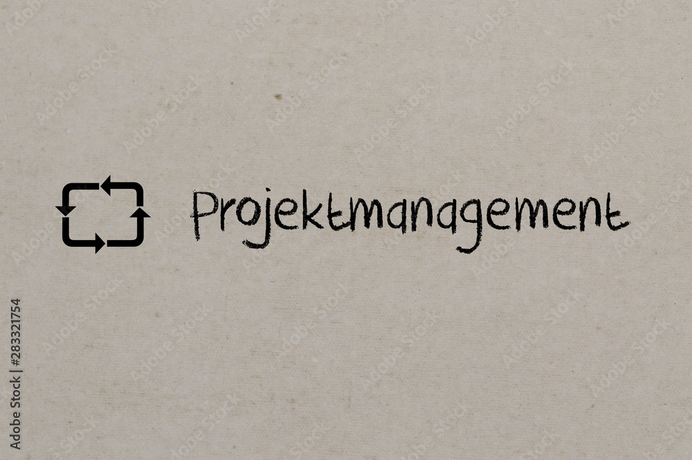 Projektmanagement im Unternehmen Projektmanagement im Unternehmen