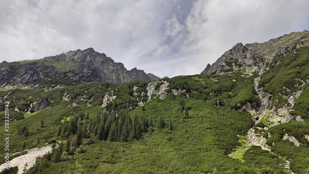 View of the mountain wall in the Tatras. Mountains covered with grasses in summer