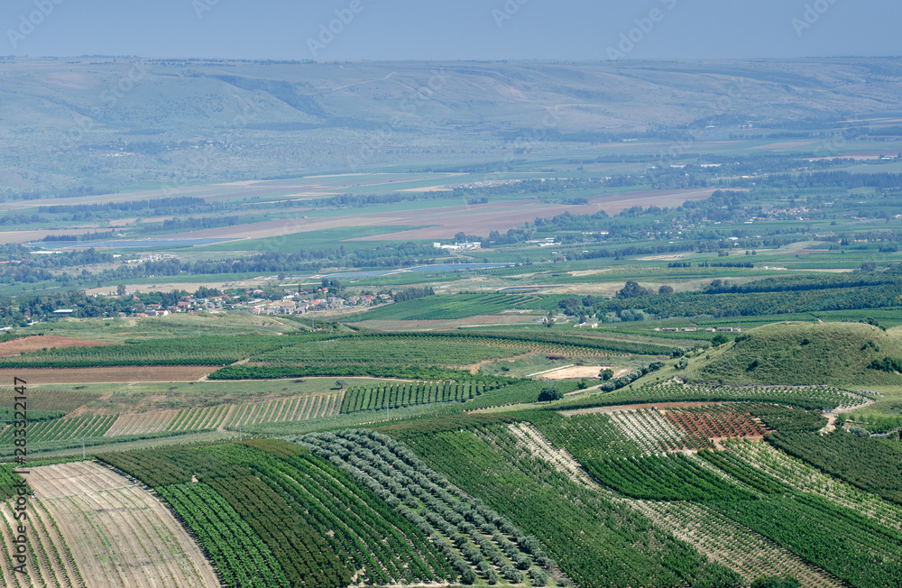 Green farm fields next to Metula - the most northern town in Israel