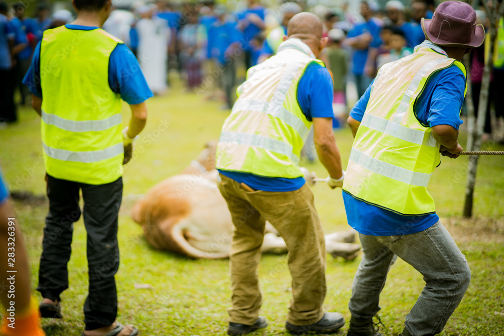 selangor , Malaysia August 11, 2019 - selangor , Malaysia August 11, 2019 -