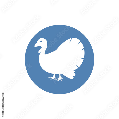 Turkey bird silhouette animal flat icon. Vector illustration.