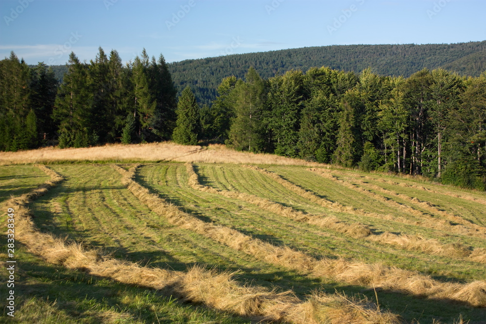 Mowing on mountain hill at sunset