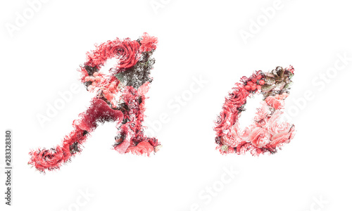 Beautiful illustration of both uppercase and lowercase letters made of spring flowers.