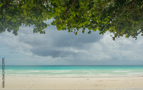 Fototapeta Naklejka Na Ścianę i Meble -  tropical beach and sea. cloudy pre-storm sky with dense green thickets of trees on the Pacific Ocean coast. azure sea under cloudy gray skies and green trees