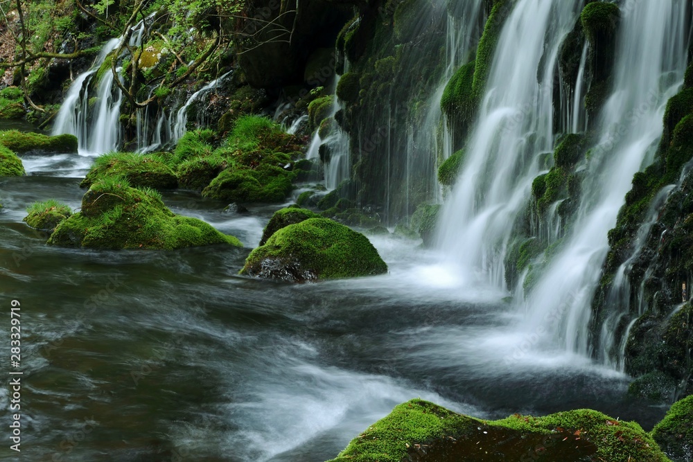Fototapeta premium 《元滝伏流水》秋田県にかほ市