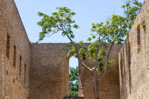 Chiesa di Santa Maria dello Spasimo a Palermo photo