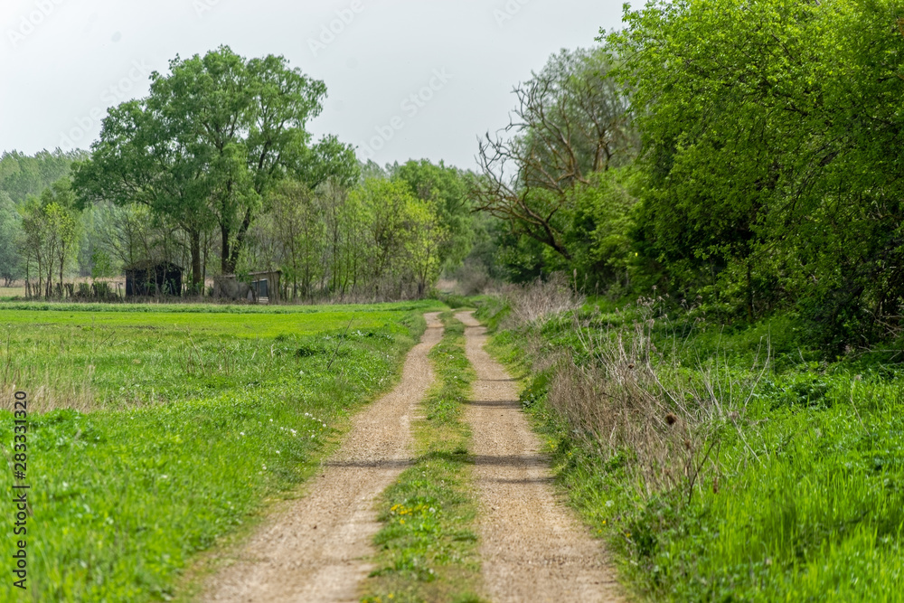 path in the park