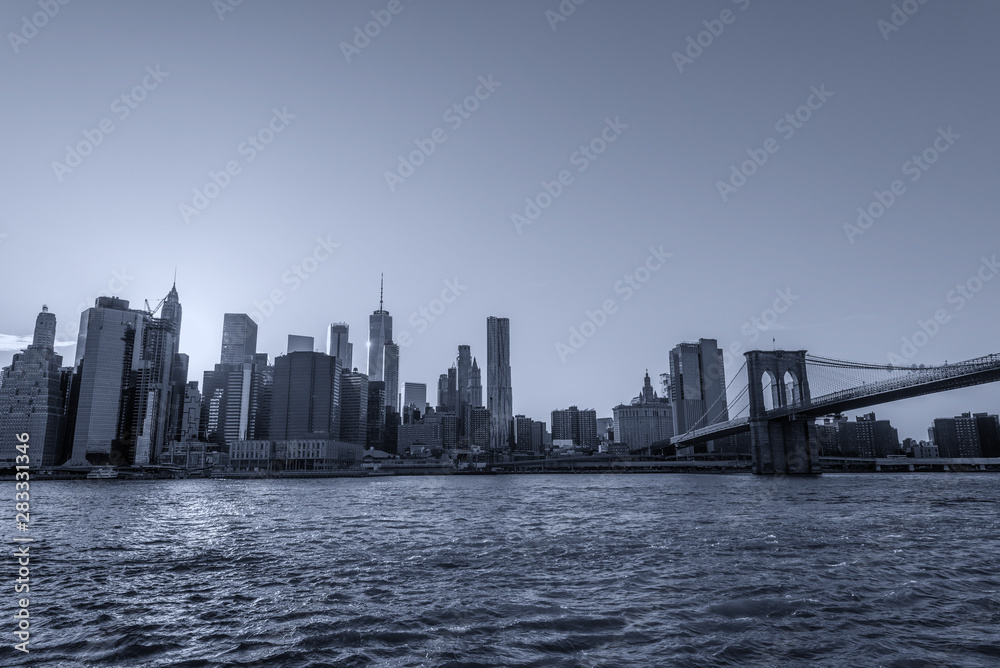 Manhattan Skyline and Brooklyn Bridge