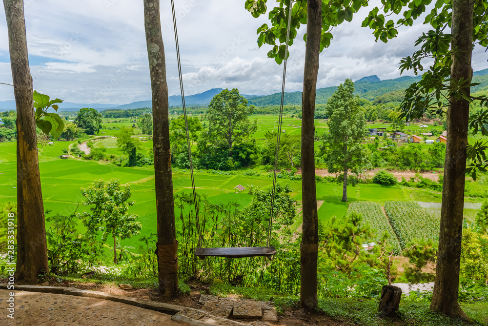 Fototapeta premium Wooden swing hanging under the tree with terraced rice field and sky background