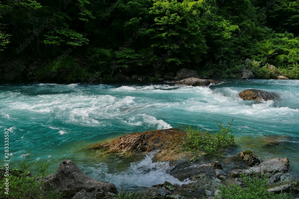 Fototapeta premium 《抱返り渓谷》秋田県仙北市