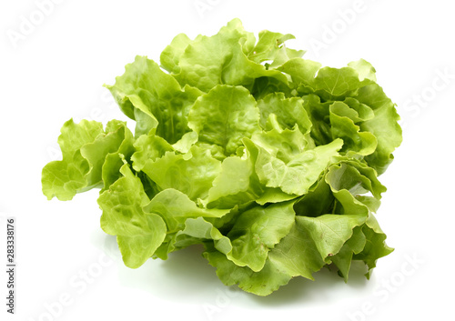 fresh green lettuce isolated on white background