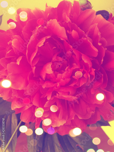 abstract floral background