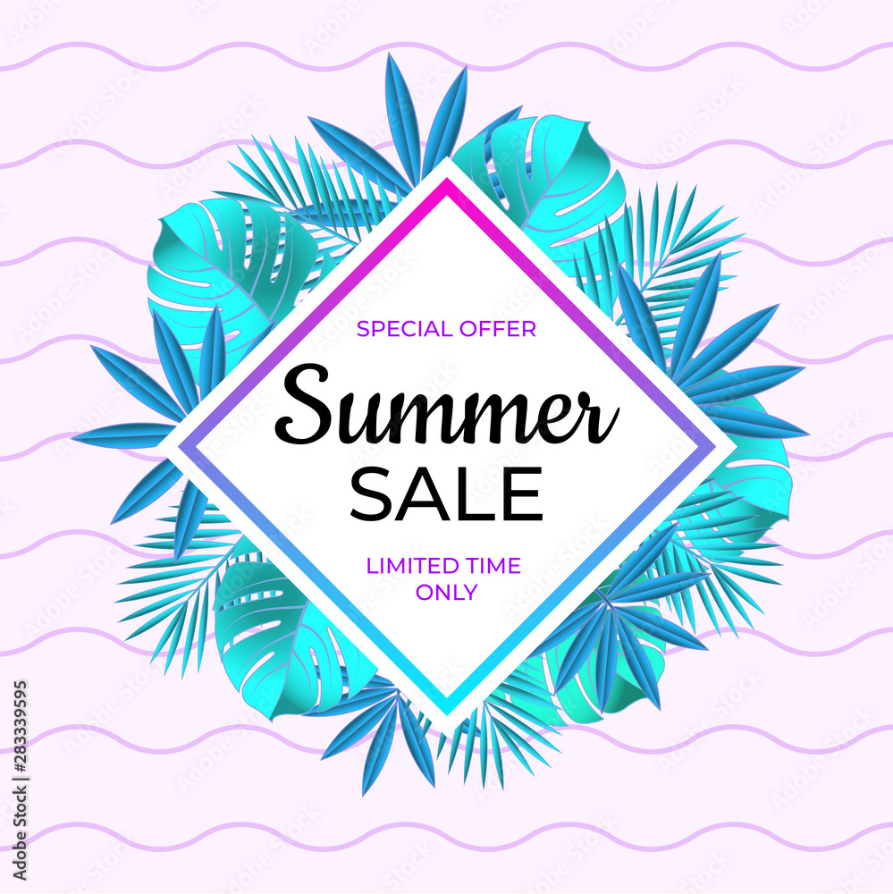 Summer sale banner. Special offer limited time only. 