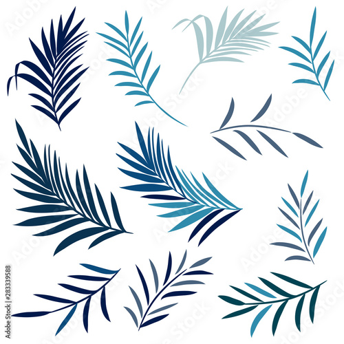 Set of vector elegant palm leaves in blue color, summer tropical theme