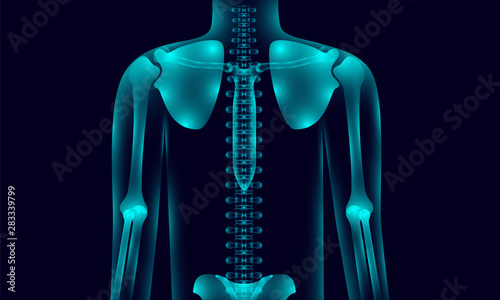 transparent human body anatomy background lighting with hand shoulder hip chest backbone, xray tone style. vector illustration eps10