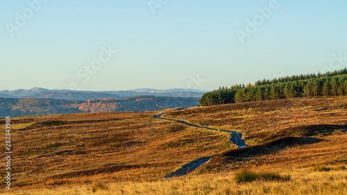 Fototapeta Naklejka Na Ścianę i Meble -  perthshire countryside