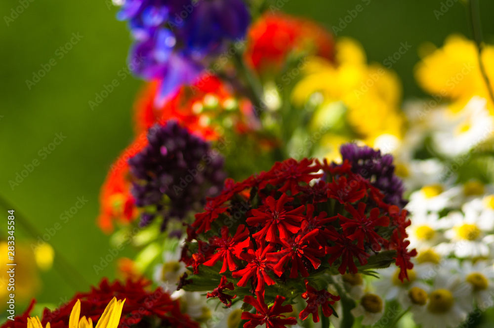 Fototapeta premium a bouquet of bright spring flowers of various types