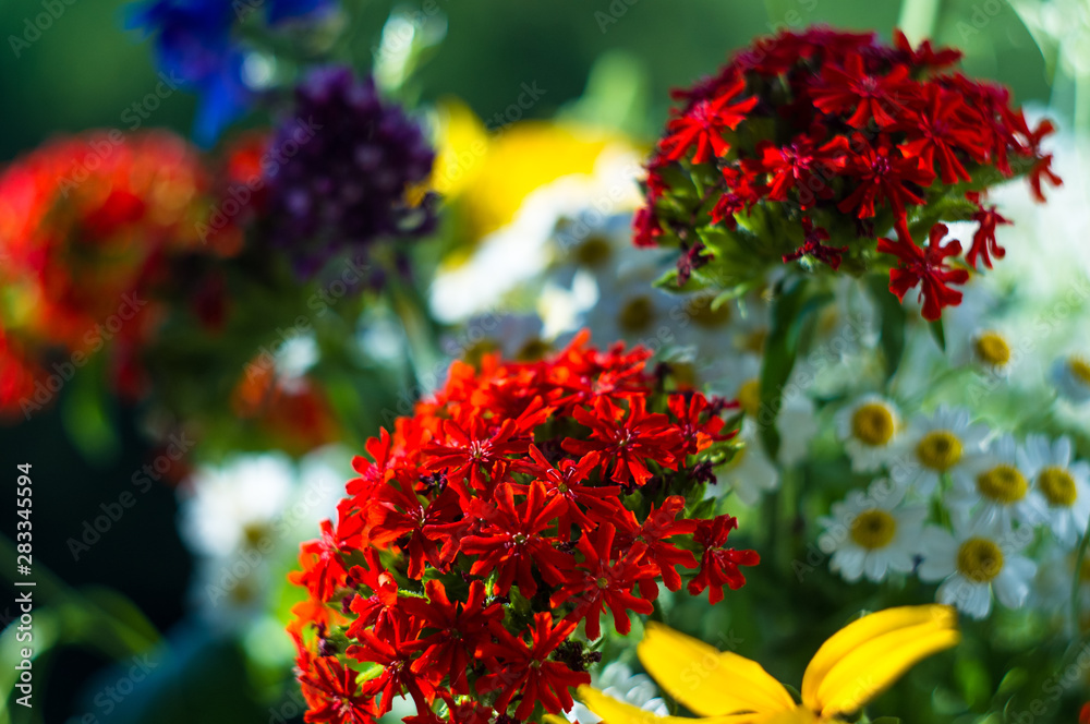 a bouquet of bright spring flowers of various types a bouquet of bright spring flowers of various types