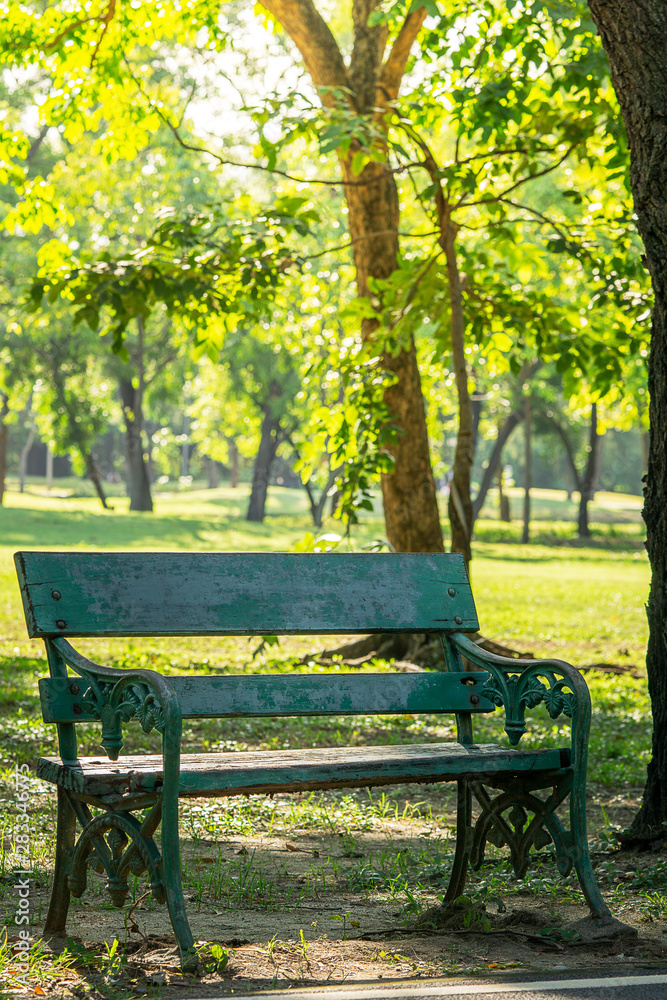 old bench in the public park and blur background old bench in the public park and blur background
