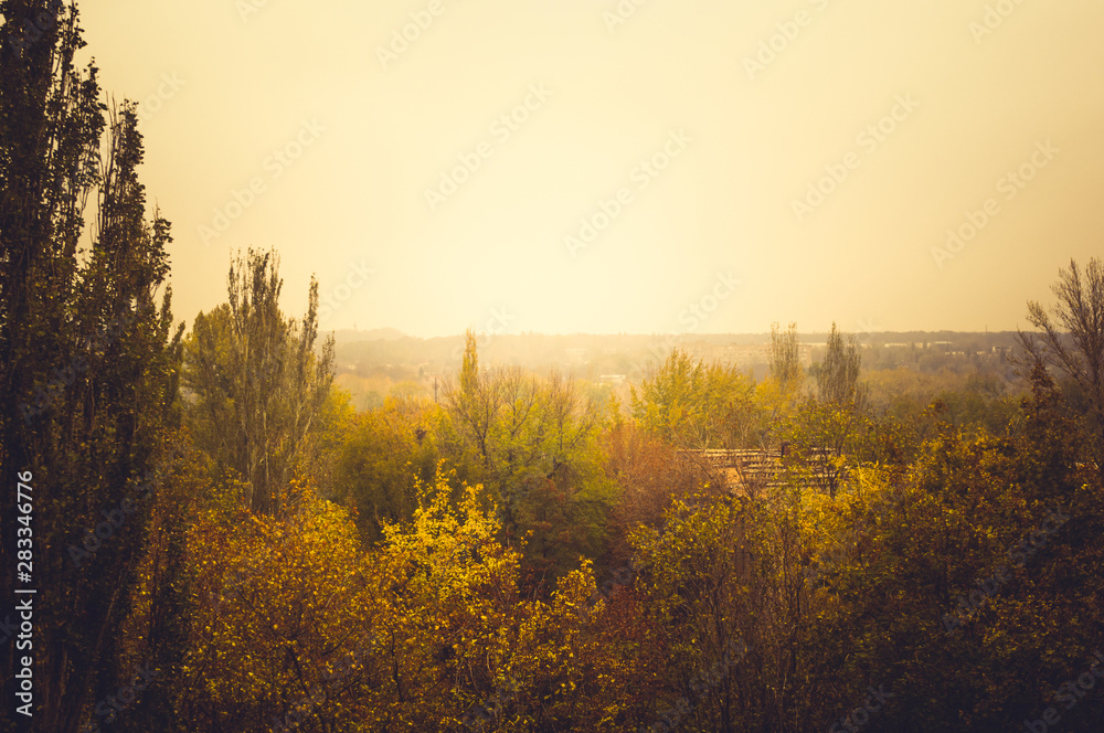 Urban autumn landscape with colorful trees in sunlight Urban autumn landscape with colorful trees in sunlight