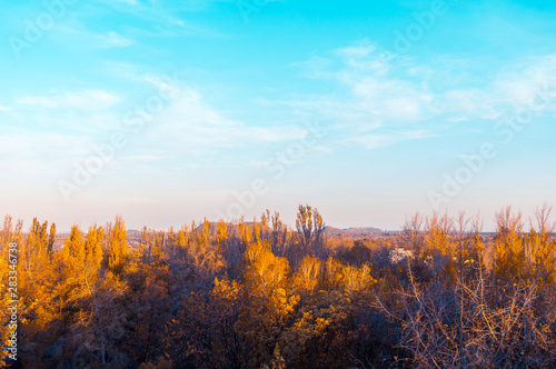 Urban autumn landscape with colorful trees in sunlight