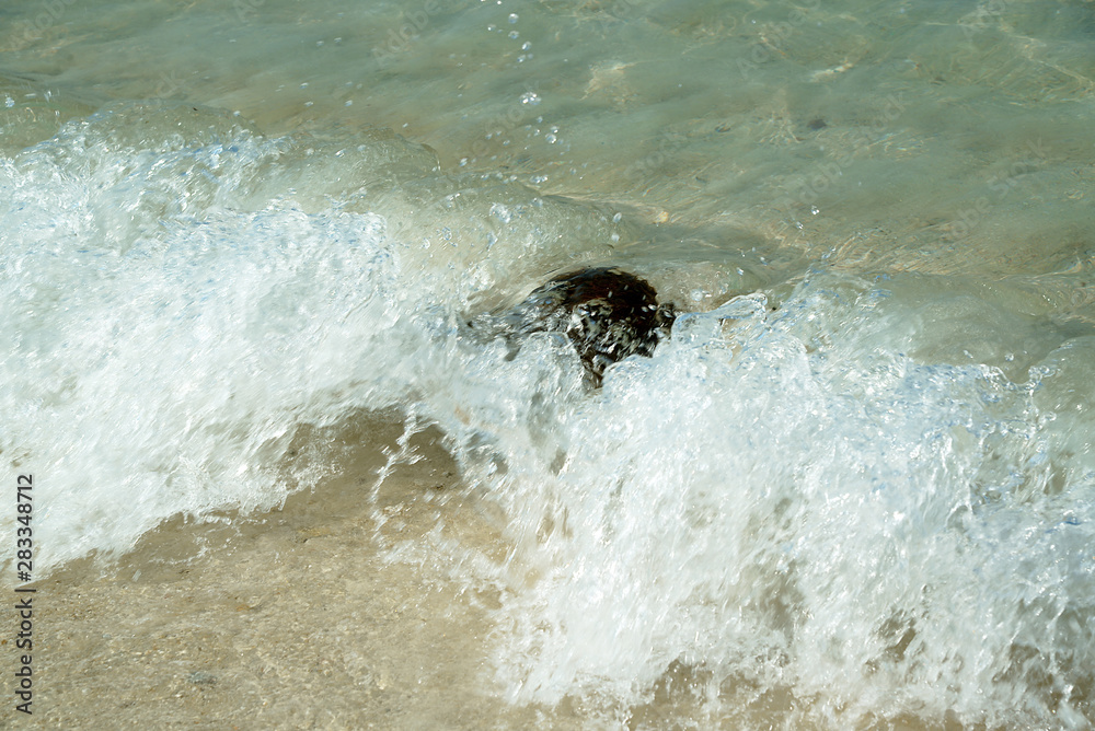 Obraz premium Traumstrand auf Koh Larn, Thailand