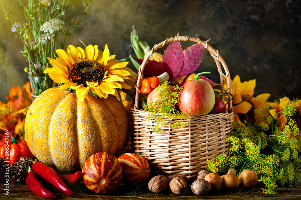 The table, decorated with vegetables and fruits. Harvest Festival. Happy Thanksgiving. Autumn background. Selective focus. - obrazy, fototapety, plakaty 