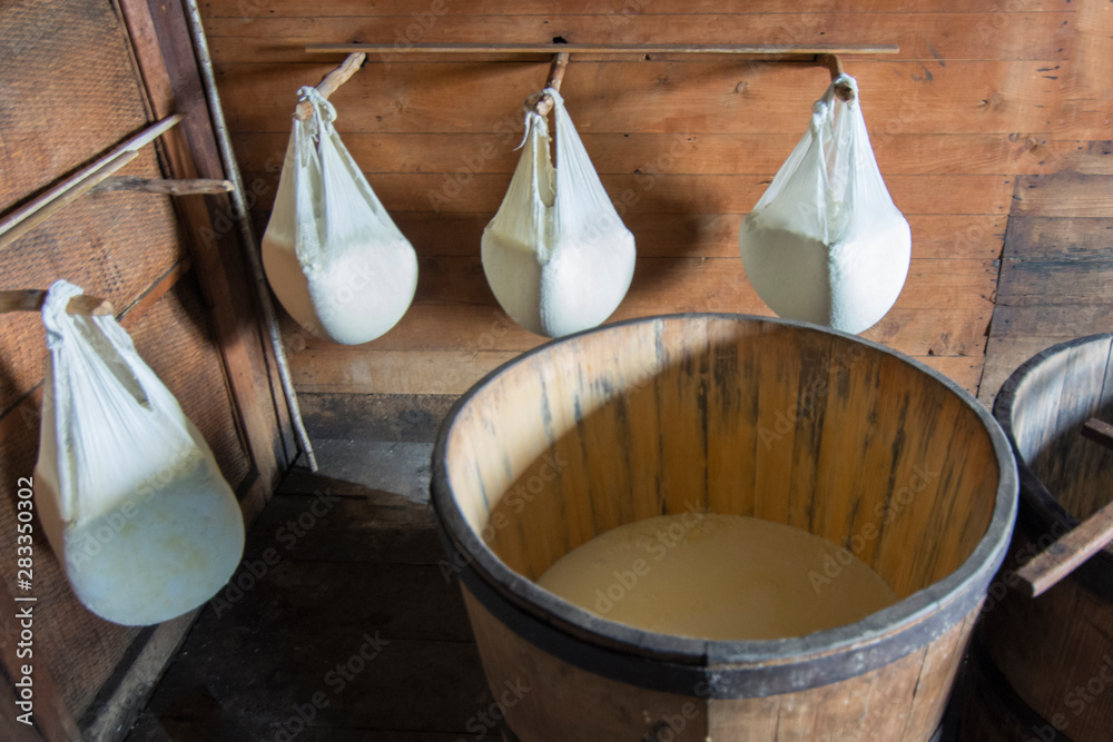 Making cheese at the home on the old technology. Ripening domestic cheese at the cheese dairy.