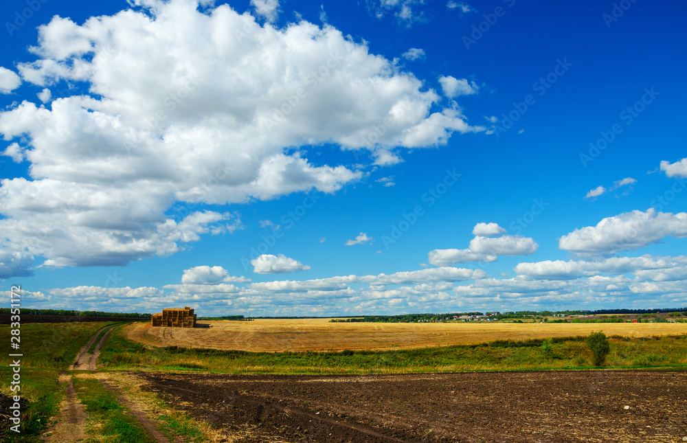 landscape with  fields and blue sky
