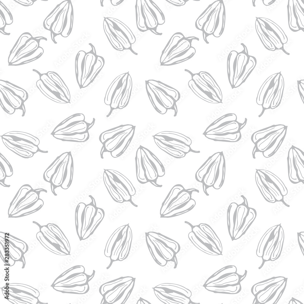 Bell pepper vector seamless pattern. Grey contour pepper on white background