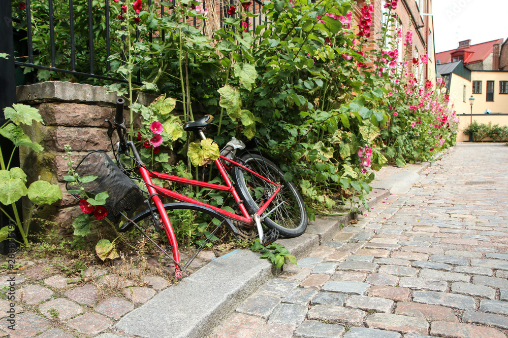 The red bike without a front wheel is lying on the street in the bush and flowers. The wheel was probably stolen by a thief. 