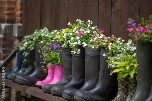 bloemen in laarzen